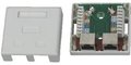 Obrázok pre výrobcu DATACOM Datová zásuvka STP CAT5E 2xRJ45 na omítku bílá