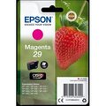 Obrázok pre výrobcu EPSON Singlepack Magenta 29 Claria Home Ink