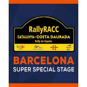 Obrázok pre výrobcu ESD WRC 9 Barcelona SSS