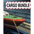 Obrázok pre výrobcu ESD Euro Truck Simulátor 2 Cargo Bundle