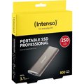 Obrázok pre výrobcu INTENSO 1,8" External SSD 250GB Professional