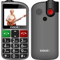 Obrázok pre výrobcu EVOLVEO EasyPhone FL, mobilní telefon pro seniory s nabíjecím stojánkem, stříbrná