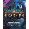 Obrázok pre výrobcu ESD Pillars of Eternity 2 Deadfire Beast of Winter