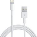 Obrázok pre výrobcu Apple Lightning to USB Cable 0,5M