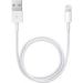 Obrázok pre výrobcu Apple Lightning to USB Cable 0,5M