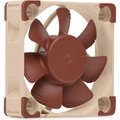 Obrázok pre výrobcu Noctua ventilátor NF-A4x10 PWM / 40mm / výška 10mm / PWM/ 4-pin