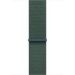 Obrázok pre výrobcu Apple Watch 46mm Lake Green Sport Loop