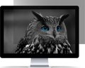 Obrázok pre výrobcu Privátní filtr Natec Owl 13,3" 16:9