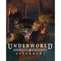 Obrázok pre výrobcu ESD Underworld Ascendant