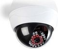 Obrázok pre výrobcu Nedis DUMCD20WT - Atrapa Bezpečnostní Kamery | Kamera s kopulovým krytem | IP44 | Bílá barva