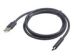 Obrázok pre výrobcu Gembird USB 2.0 AM cable to type-C (AM/CM), 1.8m, čierna