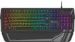 Obrázok pre výrobcu Genesis herní klávesnice RHOD 350 RGB CZ/SK layout, 7-zónové podsvícení