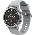 Obrázok pre výrobcu SAMSUNG Galaxy Watch 4 Classic Silver 46mm