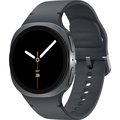 Obrázok pre výrobcu Samsung Galaxy Watch 8 40mm /Sport Band/Black