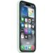Obrázok pre výrobcu iPhone 16 Silicone Case with MagSafe - Aquamarine