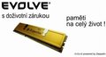 Obrázok pre výrobcu EVOLVEO DDR III 2GB 1600 MHz EVOLVEO GOLD (s chladičem, box), CL11 (9-9-9-24) - (doživotní záruka)