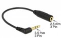 Obrázok pre výrobcu Delock Audio kabel Stereo jack 3.5 mm 3 pin samec > Stereo jack 2.5 mm 3 pin samice pravoúhlá