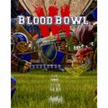 Obrázok pre výrobcu ESD Blood Bowl 3