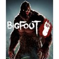 Obrázok pre výrobcu ESD BIGFOOT