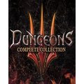 Obrázok pre výrobcu ESD Dungeons 3 Complete Collection