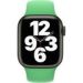 Obrázok pre výrobcu Watch Acc/41/Bright Green SB-Reg