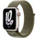 Obrázok pre výrobcu Watch Acc/41/Sequoia/Pure Platinum Nike Sport Loop