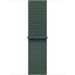 Obrázok pre výrobcu Apple Watch 42mm Lake Green Sport Loop