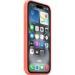 Obrázok pre výrobcu iPhone 16 Silicone Case with MagSafe - Tangerine