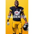 Obrázok pre výrobcu ESD Madden NFL 19