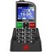 Obrázok pre výrobcu EVOLVEO EasyPhone FM, mobilní telefon pro seniory s nabíjecím stojánkem (stříbrná barva)