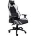 Obrázok pre výrobcu TRUST GXT714W RUYA ECO GAMING CHAIR Bílá