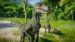 Obrázok pre výrobcu ESD Jurassic World Evolution Raptor Squad Skin Col