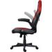 Obrázok pre výrobcu TRUST GXT703R RIYE GAMING CHAIR RED