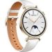 Obrázok pre výrobcu Huawei Watch GT 4 /41mm/Gold/Elegant Band/White