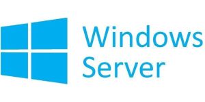 Obrázok pre výrobcu MS OEM Windows Server CAL 2019 Czech 1pk DSP OEI 5 Clt User CAL