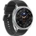 Obrázok pre výrobcu Samsung Galaxy Watch 8 Classic LTE 46mm /Sport Band/Black