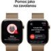 Obrázok pre výrobcu Apple Watch Series 10 GPS + Cellular 42mm Zlatý titan se zlatým milánským tahem